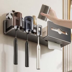 Toilet Paper Holder with Shelf